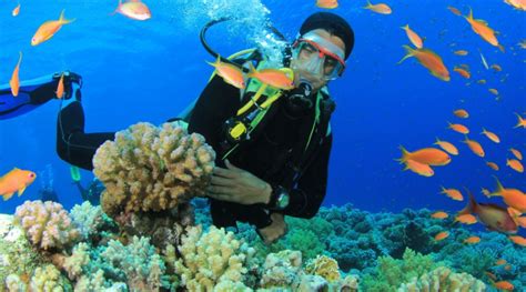 Discover the Power of Embracing Adventure: Experience the Thrill of Scuba Diving