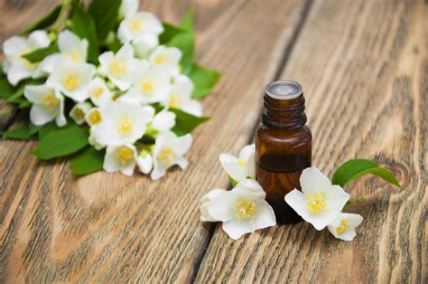 Discover the Renewing Effects of Jasmine Essential Oil