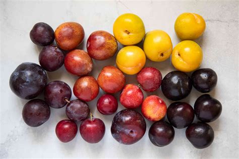 Discover the Rich Flavor of Seasonal Plums