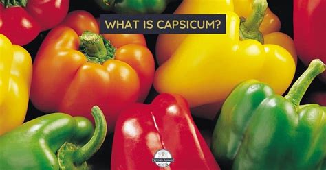 Discover the Versatile Uses of Scarlet and Verdant Capsicums