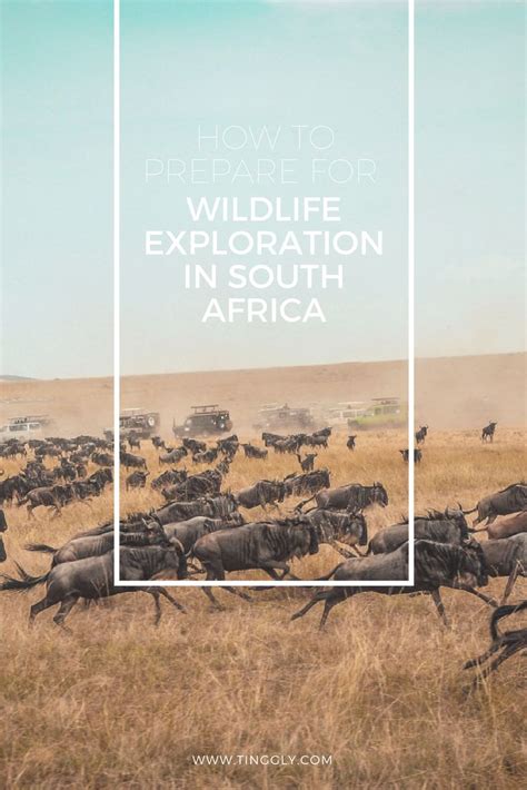 Discover the Wonders of African Wildlife: A Once-in-a-Lifetime Safari Adventure