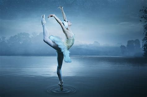 Discover the captivating artistry of Swan Lake's enchanting choreography