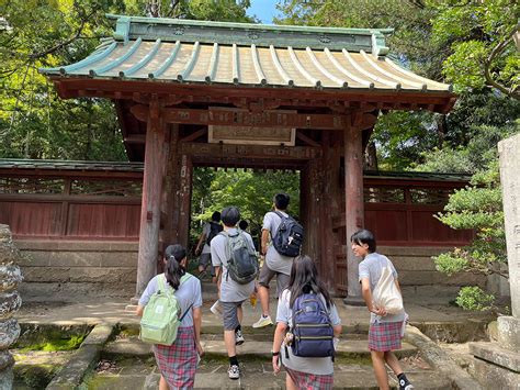 Discovering Ancient Traditions: Exploring Japan's Rich History