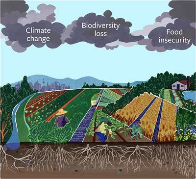 Discovering Deeper Insights and Personal Transformation through Dreams of Agricultural Cultivation