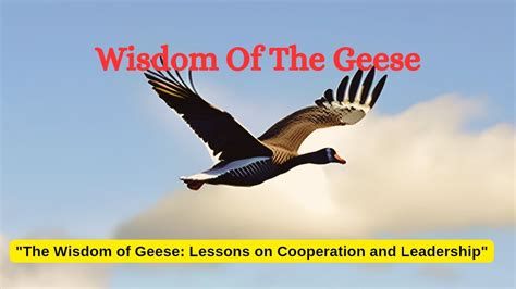 Discovering Lessons from Nature: Inspiring Resilience through Wild Geese