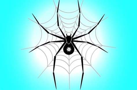 Discovering Solutions for Frequent Spidery Dreams in Your Dwelling