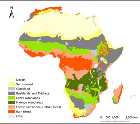 Discovering the Eclectic Range of African Ecosystems