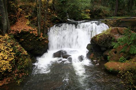 Discovering the Enchanting Trails that Await