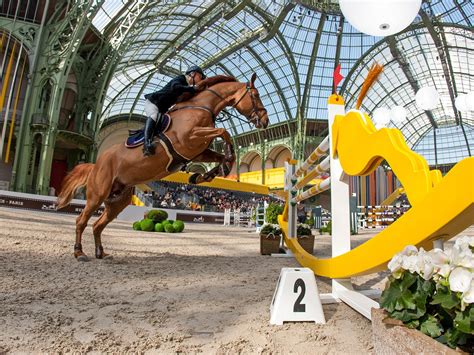 Discovering the Equestrian Heritage of Paris