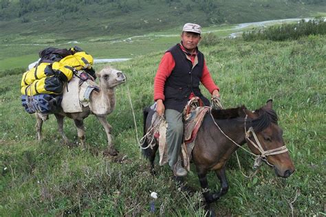 Discovering the Excitement of Horseback Exploration