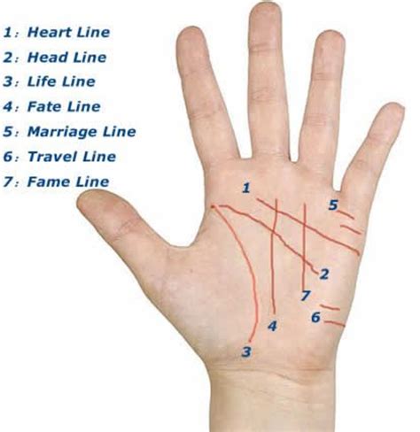 Discovering the Fundamentals of Palm Reading