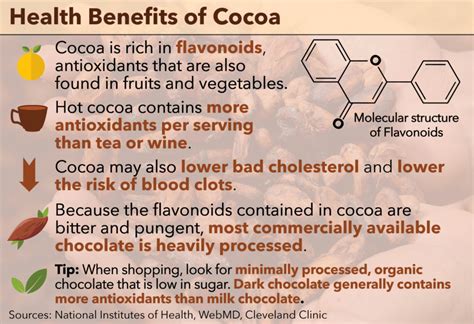 Discovering the Health Advantages of Indulging in Rich Cocoa Goodness