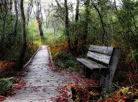 Discovering the Hidden Meaning of Your Quest for the Perfect Resting Place