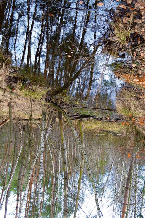 Discovering the Hidden Treasures of an Everflowing Rivulet