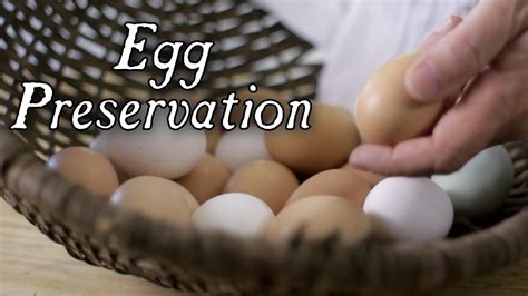 Discovering the Historical Legacy of Preserved Eggs