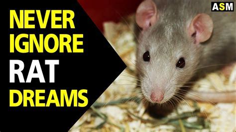 Discovering the Psychological Significance of Dreams Involving Rats