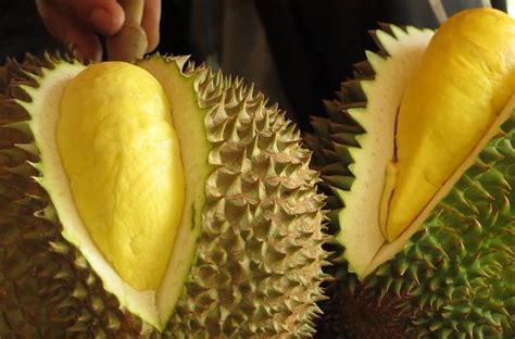 Discovering the Realm of Exquisite Fruits: An Expedition into the Plethora of Sensational Tastes