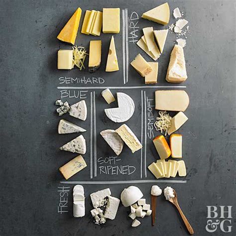 Discovering the Spectrum: Exploring the Diverse and Bold Tastes of Hard Cheeses