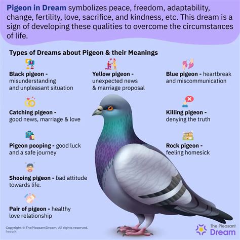 Discovering the Symbolism Behind Witnessing a Pigeon in Dreams