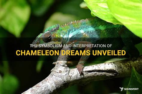 Discovering the Symbolism of Chameleon Dreams: Unveiling Deception and Camouflage in Your Reality