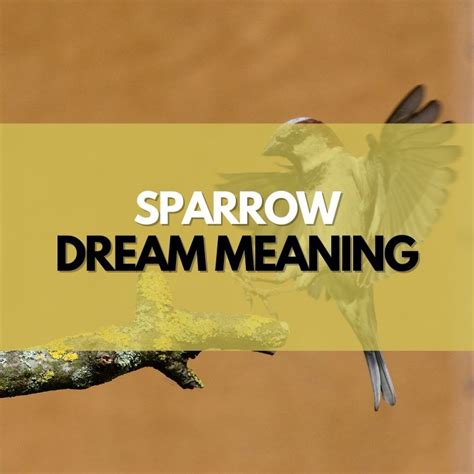 Discovering the Transformative Potential of Sparrow Dreams