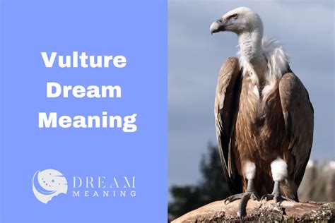 Discovering the Veiled Meanings behind Vulture Dreams