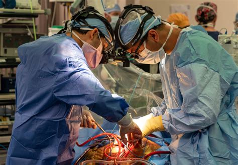 Discovering the Vital Need for a Life-Changing Cardiac Transplant