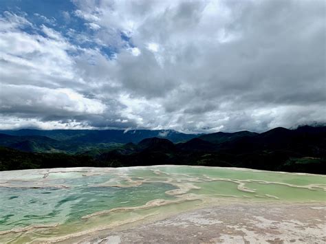 Discovering the Wonders of the Mexican Jungle: Immersing into its Abundant Biodiversity