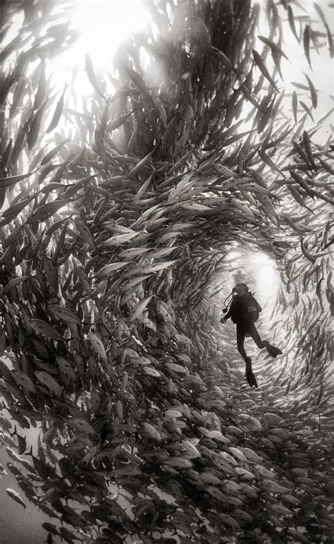 Discovering your inner artist through the captivating realm of water photography