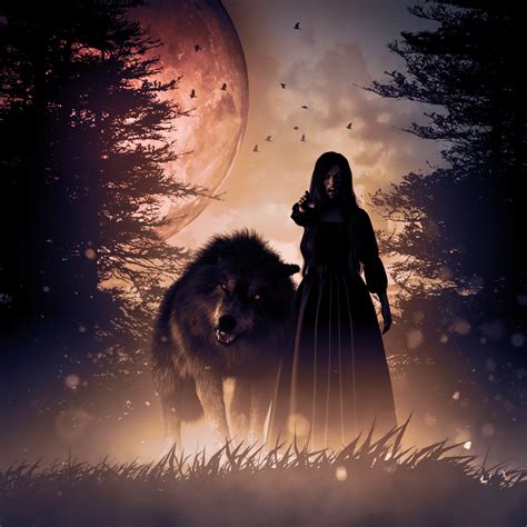 Dispelling Common Myths Surrounding Vampires and Werewolves