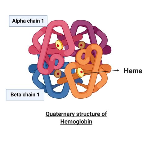 Distinctive Characteristics of Golden Hemoglobin – Unique Features That Set It Apart