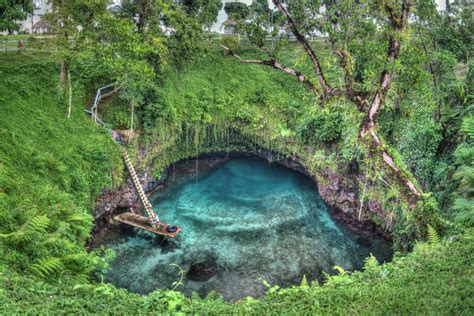 Dive into Nature's Hidden Gems: Green Swimming Holes