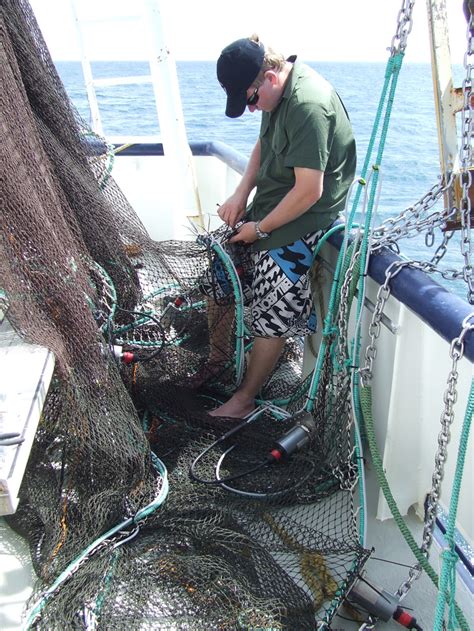 Dive into the Deep Blue: Exploring Sustainable Fishing Practices for Shrimp and Lobster