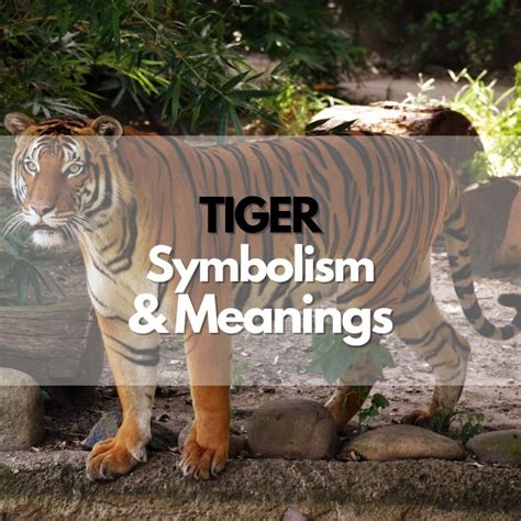 Dive into the Enchanting Realm of Tiger Symbolism: An Intriguing Expedition