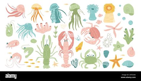 Diverse Array of Petite Crustaceans and Diminutive Jellyfish: Exploring the Vibrant Realm of Small-Scale Oceanic Life