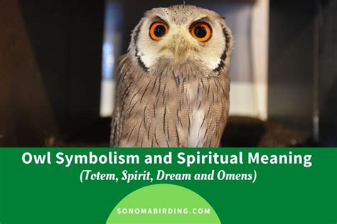 Diverse Interpretations of the Symbolism Connected to the Enigmatic Owl Tree