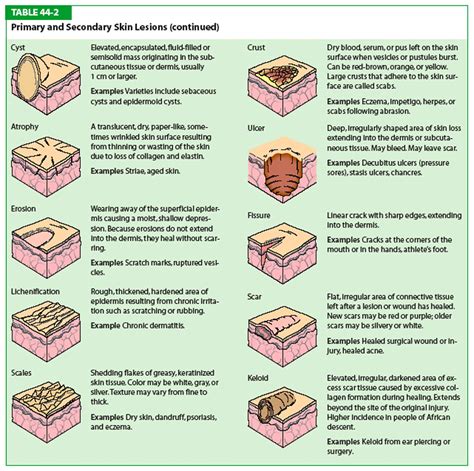 Diverse Varieties of Cutaneous Patches in Reveries and Their Significance