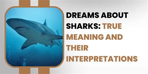 Diverse Varieties of Shark Dreams and their Interpretations