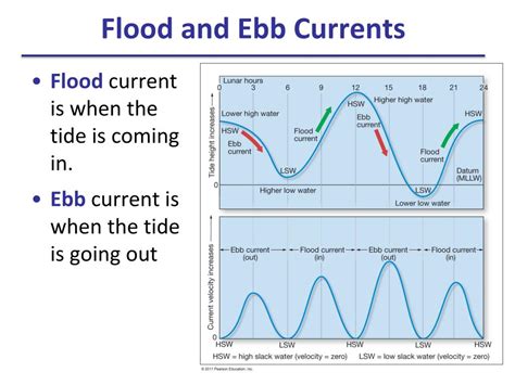 Diving into Interpretation: The Significance of the Ebbing Tide