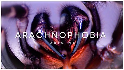 Diving into the Dark Side: Unraveling the Origins of Arachnophobic Nightmares