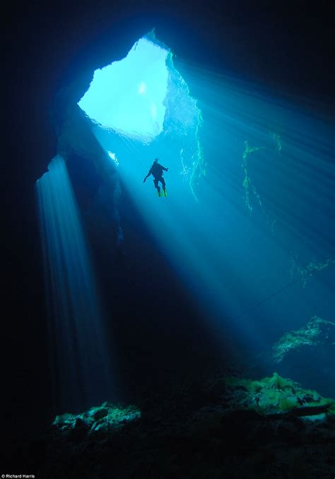 Diving into the Depths: Exploring Beneath the Surface