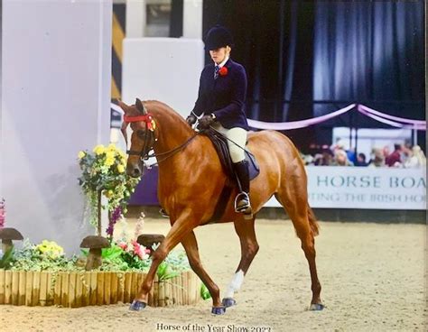 Diving into the Financial World of a Rising Equestrian Star