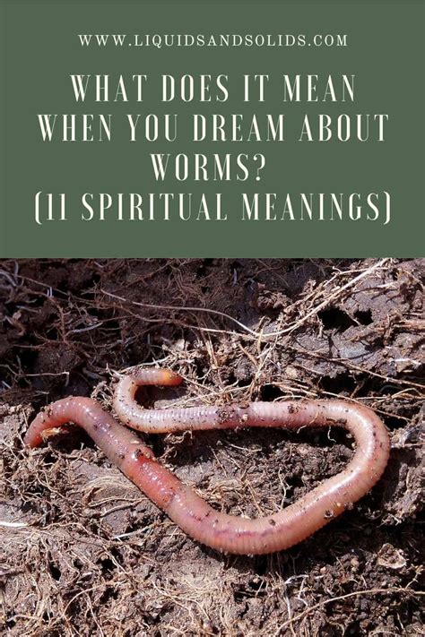 Diving into the Interpretation and Significance of Worm Dreams