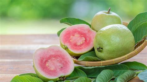 Diving into the Origins of Guava: A Journey through Time and Cultures