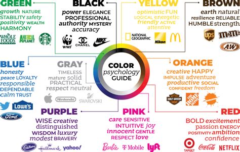 Diving into the Psychology of Color Choices