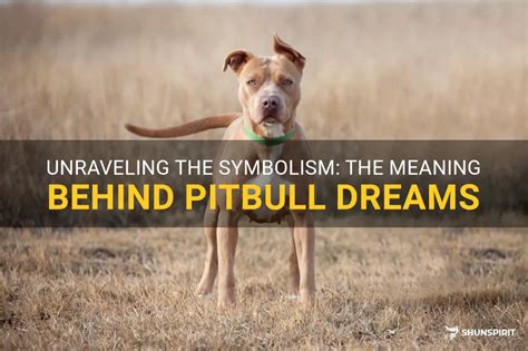 Diving into the Symbolism of Being Pursued by a Pitbull in Dreams