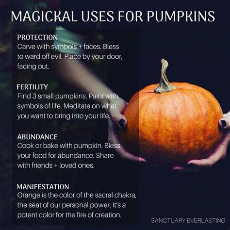 Diving into the Symbolism of an Impeccably Mature Pumpkin