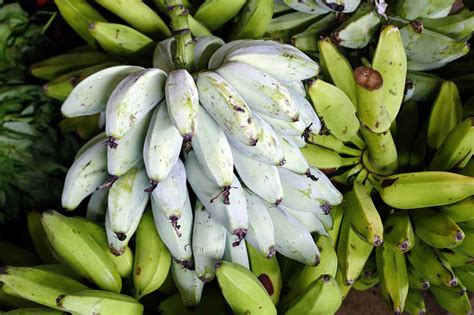 Diving into the World of Bananas: A Guide to their Varieties and Uses