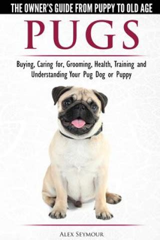 Diving into the World of Pug Dogs: A Guide to Choosing and Caring for Your New Furry Friend