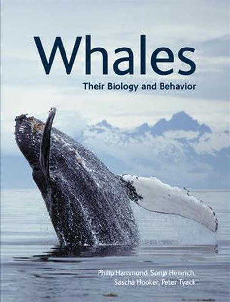 Diving into the World of Whales: A Guide to their Biology and Behavior